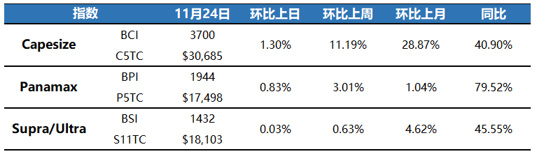 2026年干散货市场看涨，海岬型船将领跑
